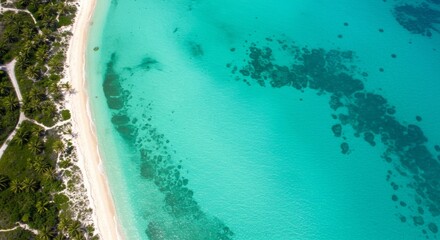 Aerial View of a Tropical Beach with Turquoise Water