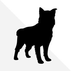 Dog Silhouette Isolated on White Background
