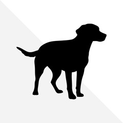 Pet Dog Silhouette Illustration on Plain White