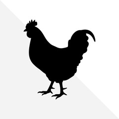Minimalist Chicken Silhouette on Plain Background