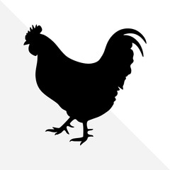 Isolated Chicken Shape in Black Silhouette Style