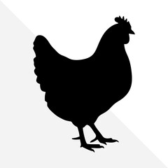 Isolated Chicken Shape in Black Silhouette Style