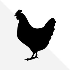 Isolated Chicken Shape in Black Silhouette Style