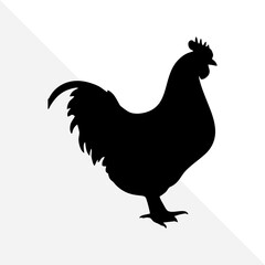 Isolated Chicken Shape in Black Silhouette Style