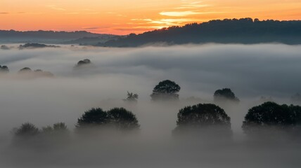 Fototapeta premium Ethereal Morning Mist Engulfing a Serene Valley Landscape at Golden Sunrise