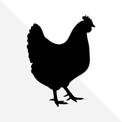 Silhouette of Farm Bird – Chicken on White