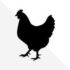 Silhouette of Farm Bird – Chicken on White