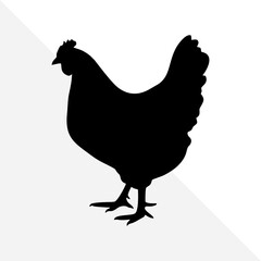 Silhouette of Farm Bird – Chicken on White