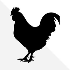 Minimalist Chicken Silhouette on Plain Background