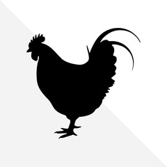 Minimalist Chicken Silhouette on Plain Background