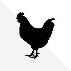 Farm Chicken Silhouette Illustration – White Background