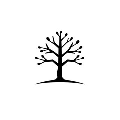 Obraz premium Line art vector black and white tree