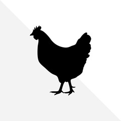 Farm Chicken Silhouette Illustration – White Background