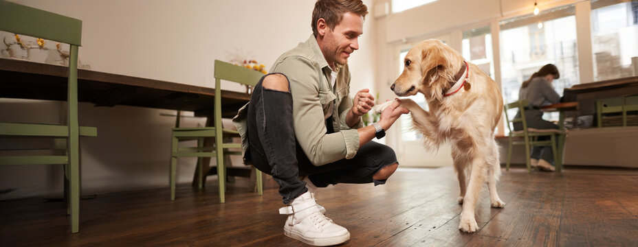 Close up portrait of smiling happy dog owner in pet-friendly cafe, teaching to give paw, giving a treat to his golden retriever, spending time in coffee shop