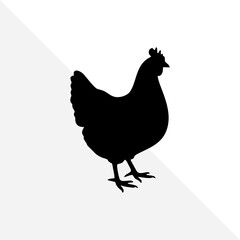 Farm Chicken Silhouette Illustration – White Background