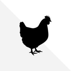 Black Silhouette of Rooster Isolated on White