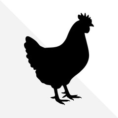 Black Silhouette of Rooster Isolated on White