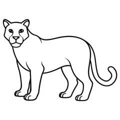 Obraz premium Mountain Lion illustration white background