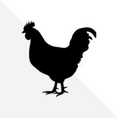 Black Silhouette of Rooster Isolated on White