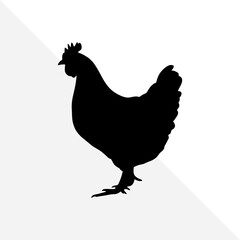 Chicken Silhouette on Clean White Background