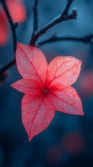Vivid pink flower with dew drops