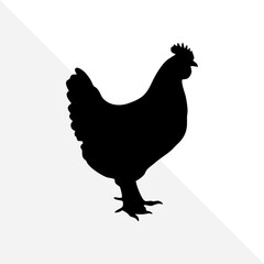 Chicken Silhouette on Clean White Background