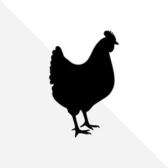 Chicken Silhouette on Clean White Background