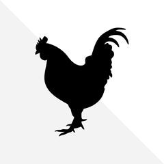Chicken Silhouette on Clean White Background