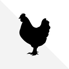 Chicken Silhouette on Clean White Background