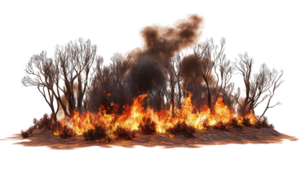 Forest fire causing destruction and smoke