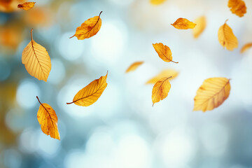Golden maple leaves hanging from the top over a soft blue bokeh background, perfect for seasonal or nature-themed designs.