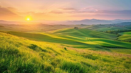 Fototapeta premium The picture of the green mountain filled with grass field and plant in the bright time of the day with bright light and warm from the sun that has been rising in morning or falling in evening. AIG51.