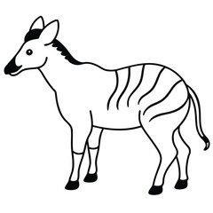 Obraz premium Okapi vector illustration white background
