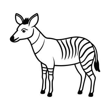Okapi vector illustration white background