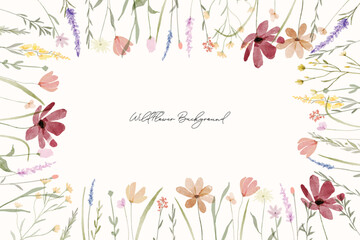Spring colorful wildflowers watercolor botanical frame background. Spring and summer Background watercolor arrangements with small flower. Botanical illustration minimal style.