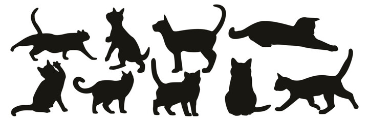 silhouette Pose Of Cat
