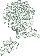 Elegant creative tree design of color