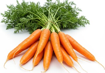 A bunch of fresh orange carrots with green leaves tied together on a white background
