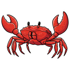 red crab on white background