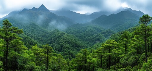 Misty Mountain Majesty: A Verdant Panorama of Rolling Hills and Lush Forests