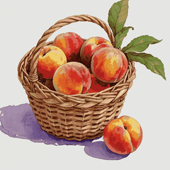 Velvet Coral Hues peaches isolated watercolor vector illustration svg