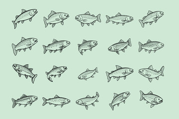 trout fish design, labeled line art vector silhouette illustration.