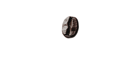 Single roasted coffee bean closeup