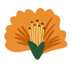 Botanical Summer: Clipart Flowers in Bloom, Summer Blooms: Flower Clipart Collection, Sun-Kissed Florals: Summer Clipart Set