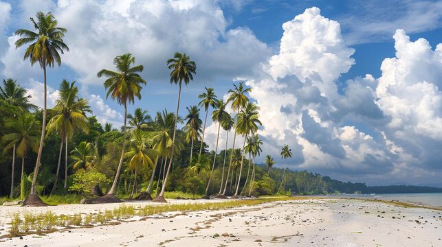 A serene tropical beach scene featuring a row of palm trees leading to a dense forest, with a calm ocean in the distance, set against a clear blue sky.