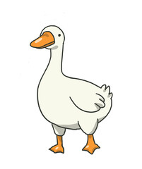 White goose