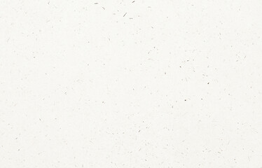 Recycled White Paper Texture with Natural Fiber Specks