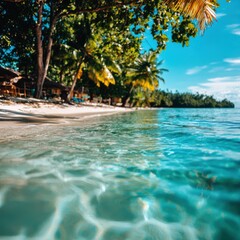 Vintage tropical beach scene showcases crystal clear water lapping gently onto the sandy shore, a perfect leeyongjay travel destination under a bright blue sky.