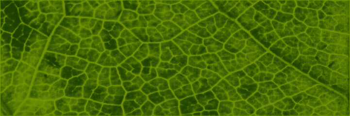 Green leaf halftone texture background. Modern nature overlay print. Vector grain pattern.