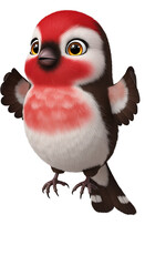 Fototapeta premium Adorable redheaded bird flaps wings